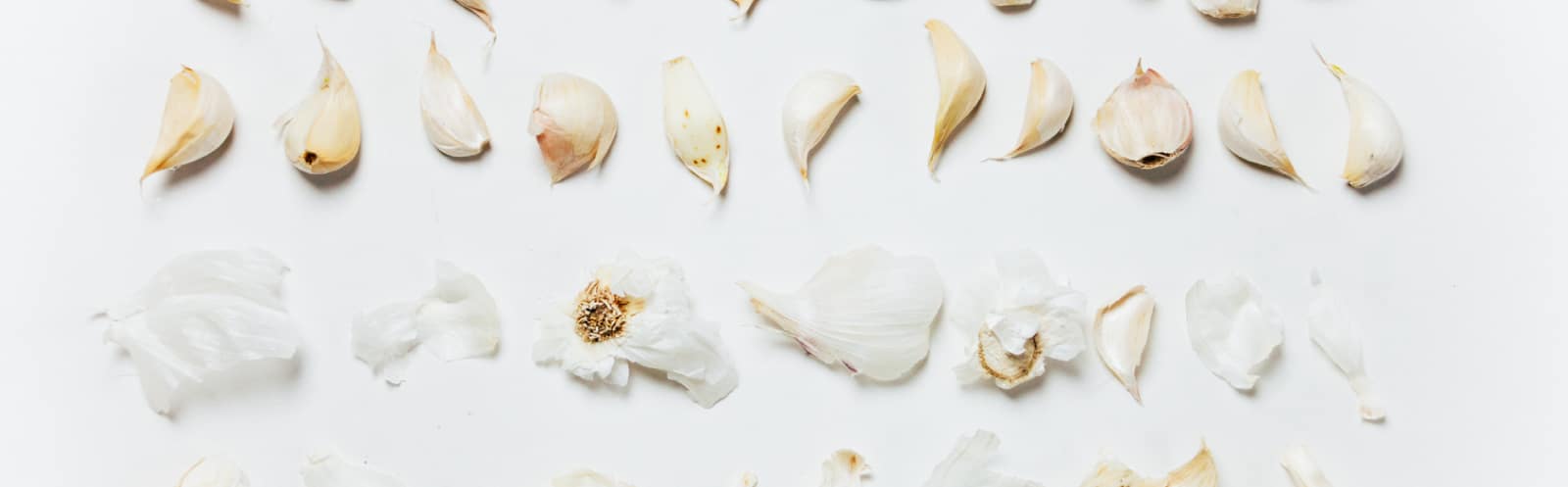 True_header_document_library - peeled garlic header image